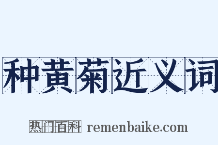 种黄菊近义词是什么意思的图片